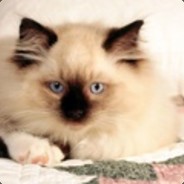 人菜瘾大描边夏