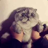 幼稚园校车司机