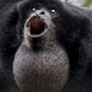 The Gibbon