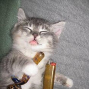 lubrikant softplayer