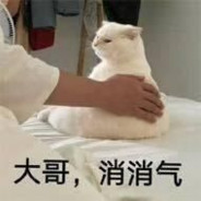 长大了我要当锁子哥