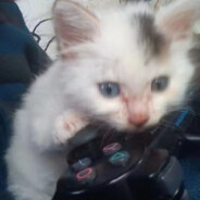 宝宝你已经很棒啦