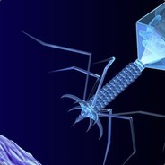 Streptococc