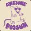 awesome.possum