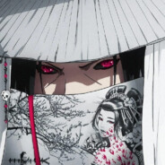 Я АНИМЕШНИЦА