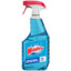 Windex Bottle