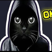 Abso1u7 - steam id 76561199563368669