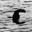 Loch Ness Monster
