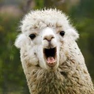 legetllama