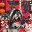 归零J