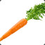 Just A Carrot
