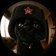 BigBlackCat™