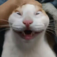 玩家头像