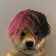 Lil Peep the Doggo