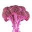 Pink Broccoli