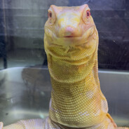 Asian Water Monitor