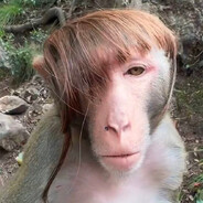 满山猴子我腚最红