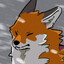 Kami North