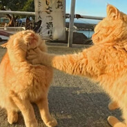 彳亍