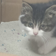 玩大剑等于成功人士