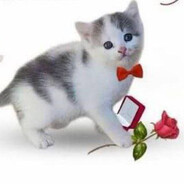 MucTepMycop - steam id 76561199680650557