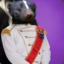 Prince Skunk