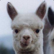 eldiablo - steam id 76561197960306158
