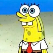 vasa