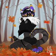 Raccoon