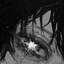 seijoku666