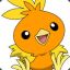 Torchic