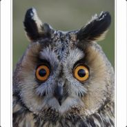 Hibou [oO] - steam id 76561197970958798