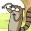 Rigby