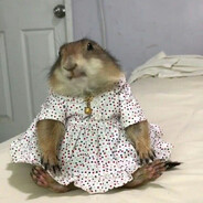 боевой суслик