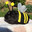 ✪ MasterCat