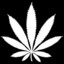 STNZ