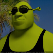 www