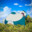 Lofi avatar