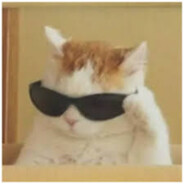 wifonka