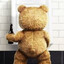 Teddy