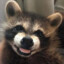 TheWetBandit