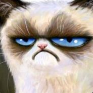 MEOW MEOW