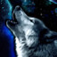 WolfNight414