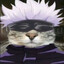 Gojo Catoru