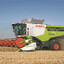 OnlyLexion