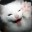 bleachcat