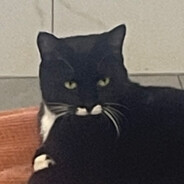 你未来的~男朋友，去你