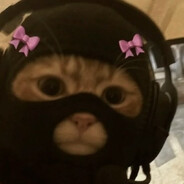 Z1nya