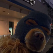 因为人多得拥挤