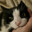 Louisha Mishin's Cat